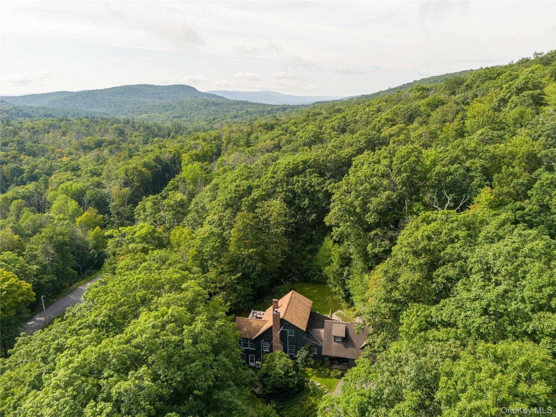 House in Hillsdale, New York, United States 3 - 18848852