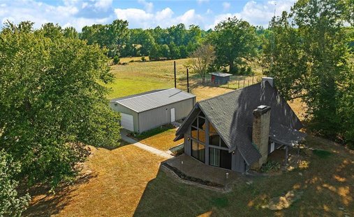 Azienda agricola a Blossom, Texas, Stati Uniti 1