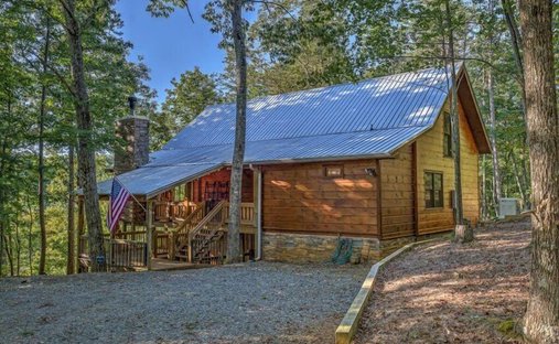 Maison à Cherry Log, Géorgie, États-Unis 1