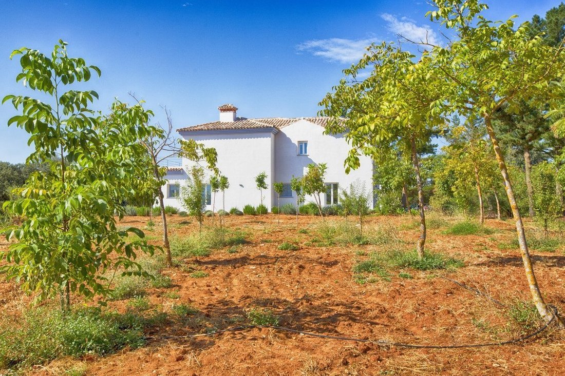 Casa a Ronda, Andalusia, Spagna 1 - 18863061