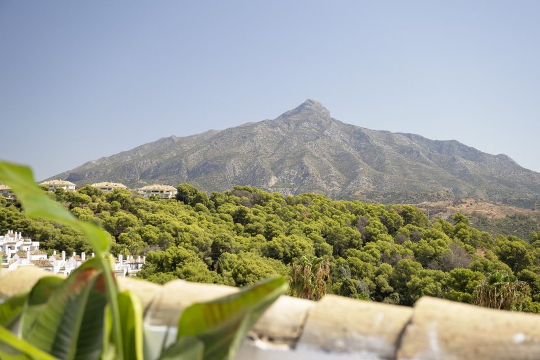 Apartment in Nueva Andalucia, Marbella, Spain 5 - 18857602
