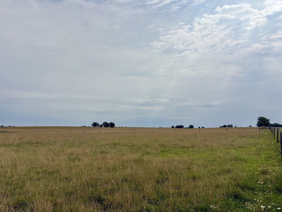 Farm Ranch in Aroma Park, Illinois, United States 2 - 18854076