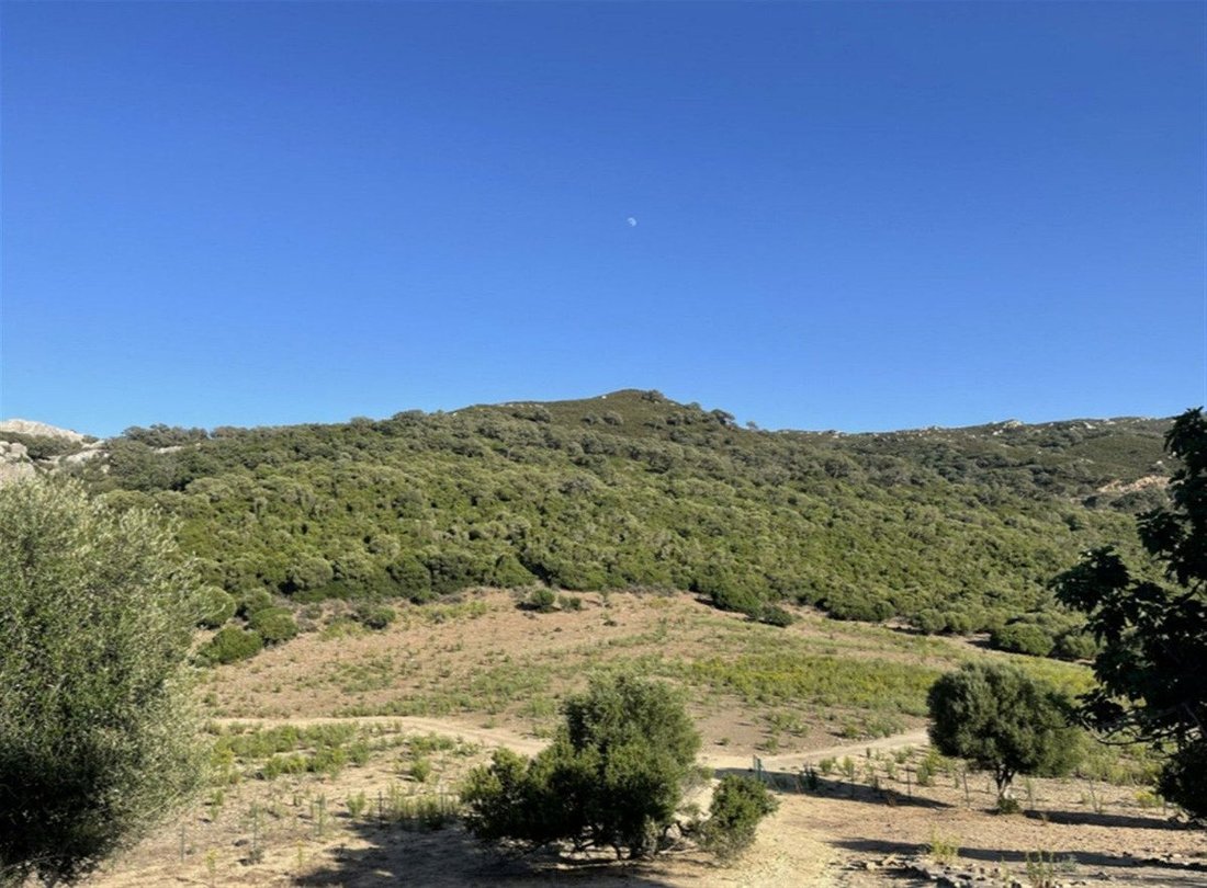 House in Castellar de la Frontera, Andalusia, Spain 5 - 18859865