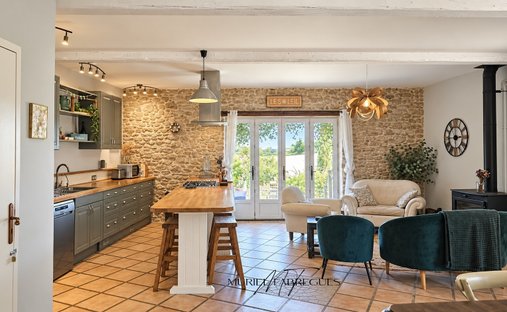 Villa in Pech-Luna, Occitania, France 1
