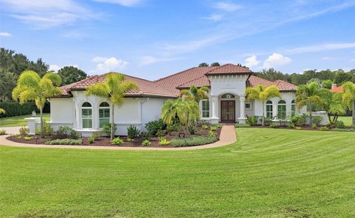 Casa en Odessa, Florida, Estados Unidos 1