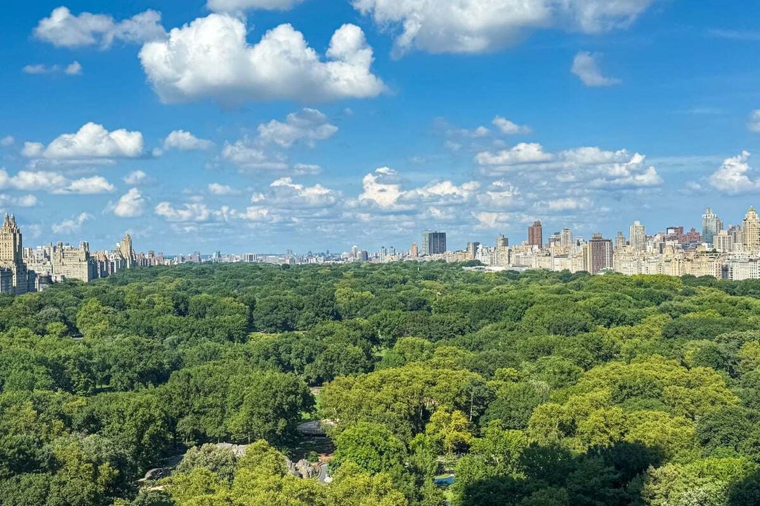 Cooperativa a New York, New York, Stati Uniti 2 - 18850520