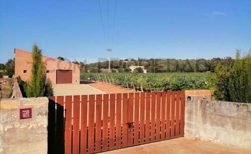 Finca a Costitx, Isole Baleari, Spagna 1