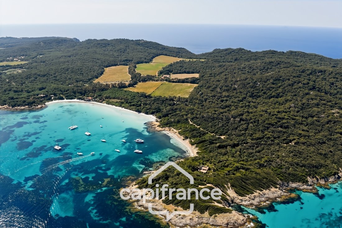Apartment in Île de Porquerolles, Provence-Alpes-Côte d'Azur, France 2 - 17671212