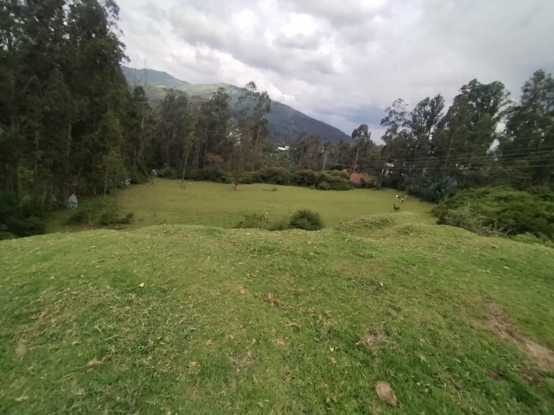 Land in Quito, Pichincha, Ecuador 1 - 18844184