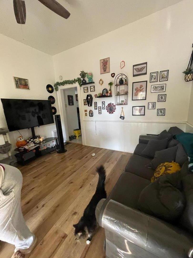 House in San Jose, California, United States 2 - 18648890