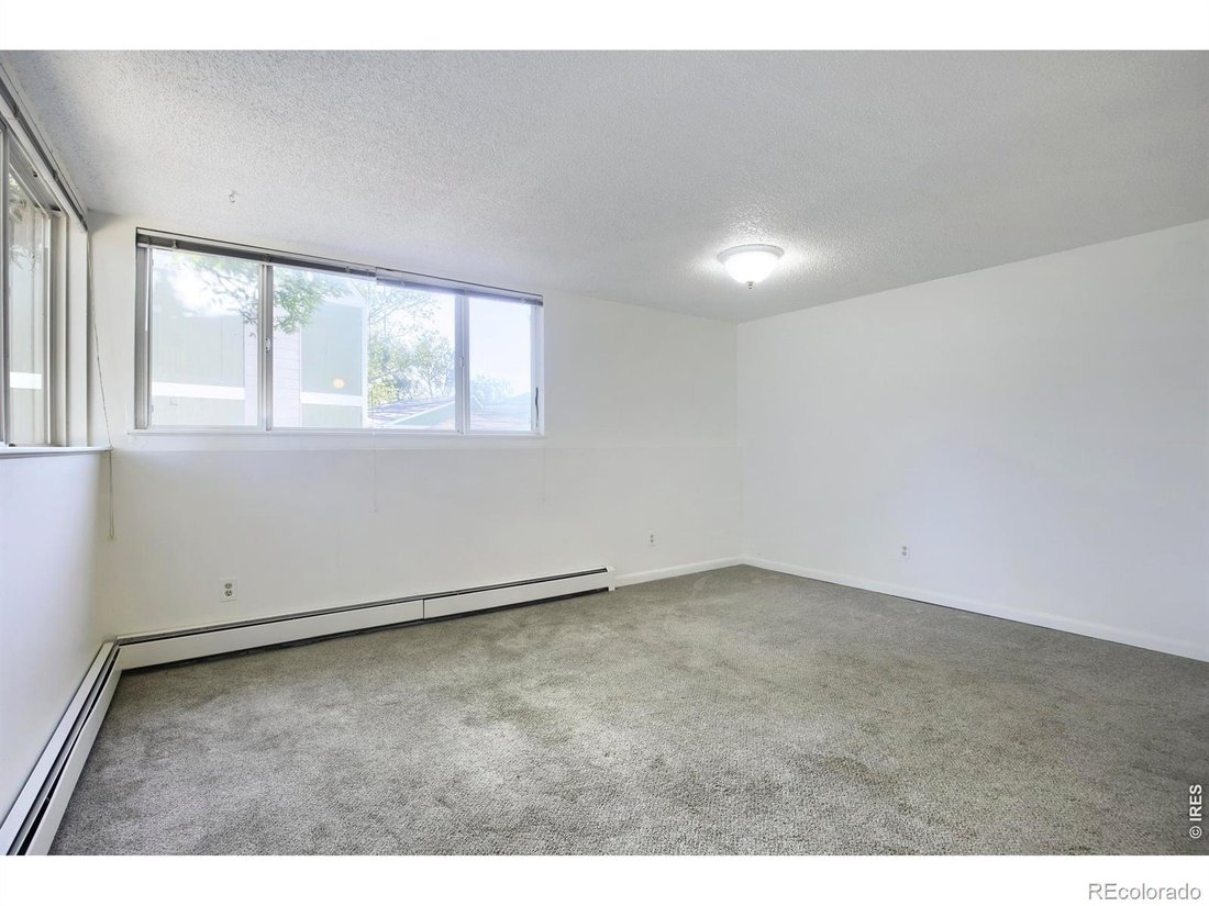 Fort Collins, Colorado, United States 3 - 18858924