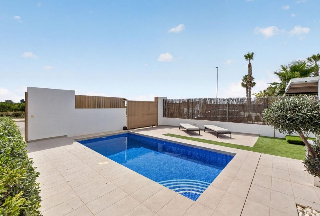 Villa in Guardamar del Segura, Valencian Community, Spain 3 - 18859329