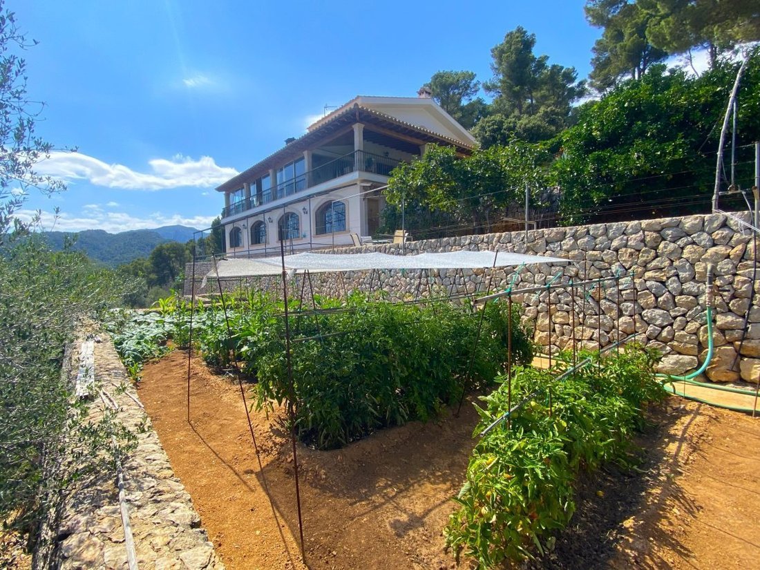 Villa en Palma, Islas Baleares, España 3 - 18862738