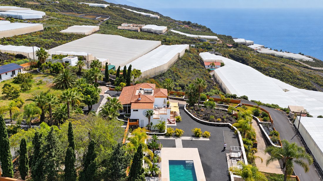 House in Los Llanos de Aridane, Canary Islands, Spain 1 - 16693046