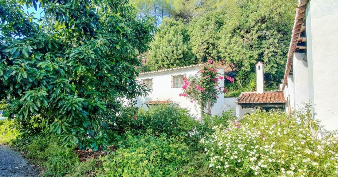 Casa a Gaucín, Andalusia, Spagna 5 - 18862369