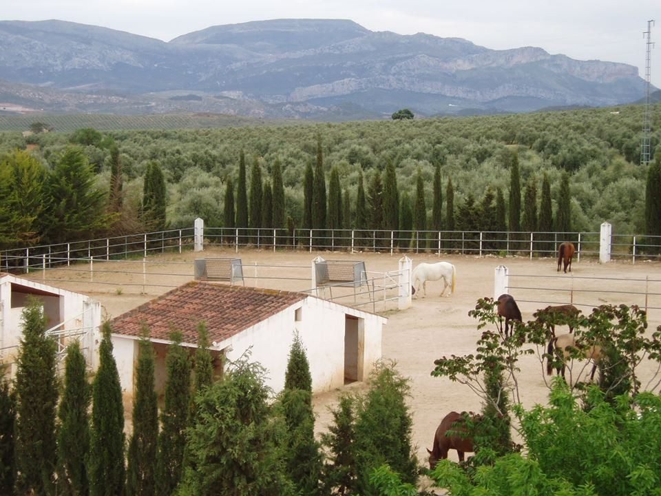 Casa a Antequera, Andalusia, Spagna 4 - 18862317