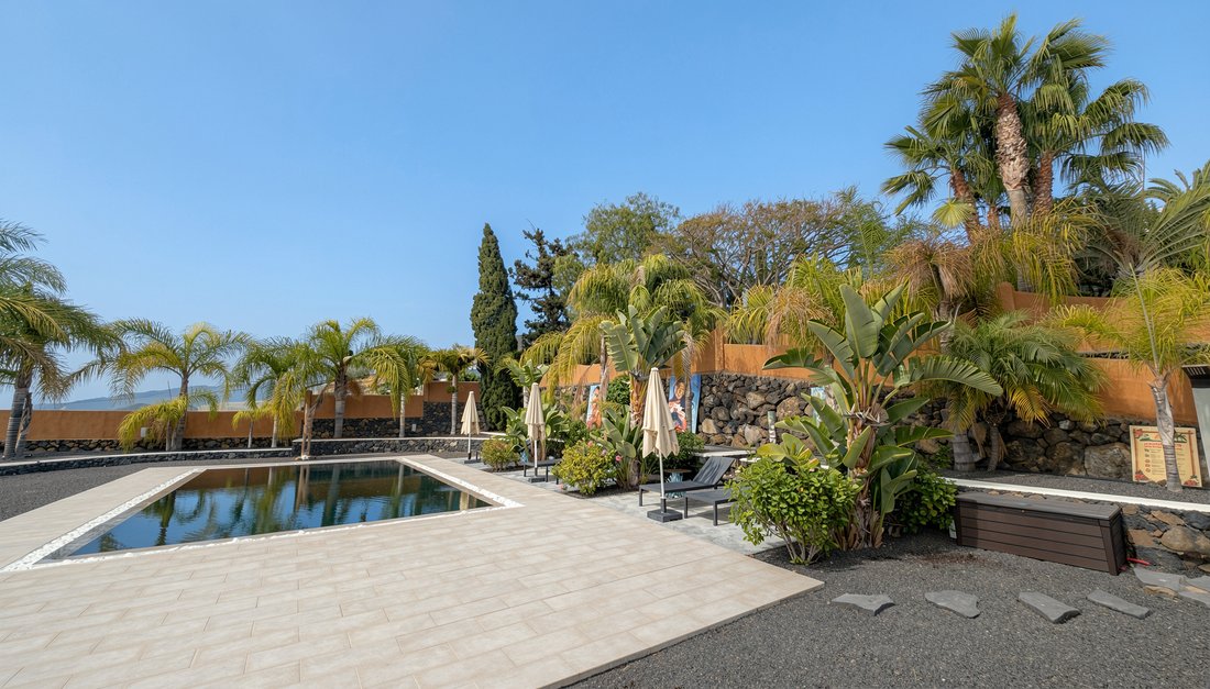 House in Los Llanos de Aridane, Canary Islands, Spain 5 - 16693046