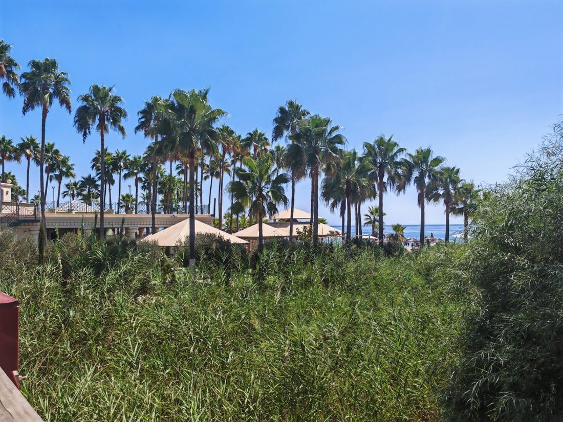 Villa in Cancelada, Estepona, Andalusia 4 - 18862489