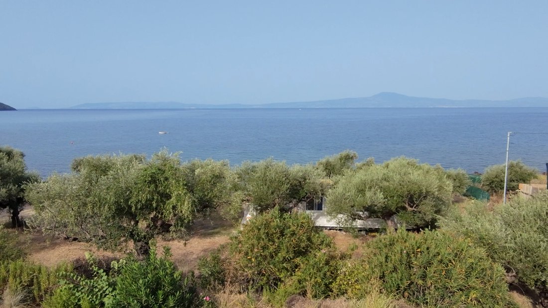 Avia, Peloponnese, Western Greece and the Ionian, Greece 5 - 18857798