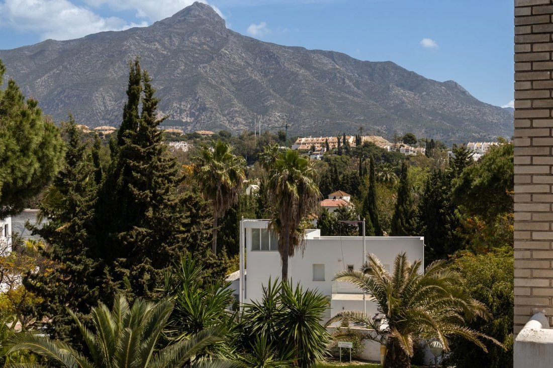 Apartment in Puerto Banus, Marbella, Spain 2 - 18863255