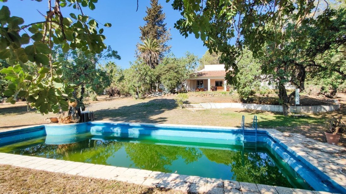 Villa in Golden Mile, Andalusia, Spain 4 - 18862321