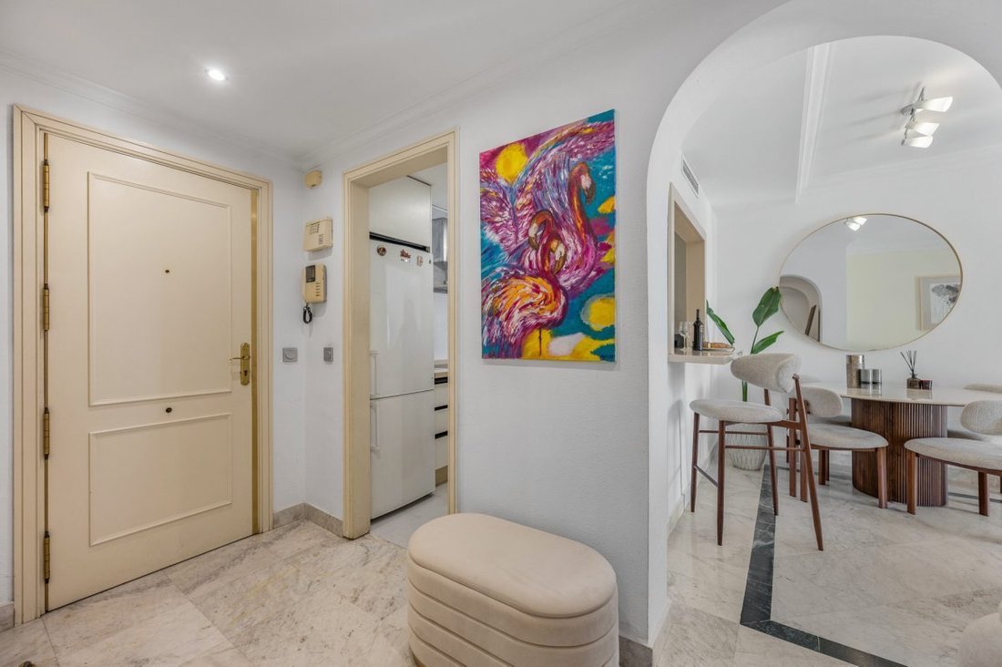 Apartment in Puerto Banus, Marbella, Spain 5 - 18863163