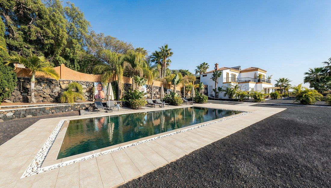 House in Los Llanos de Aridane, Canary Islands, Spain 3 - 16693046