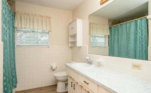 House in Tatum, Texas, United States 1