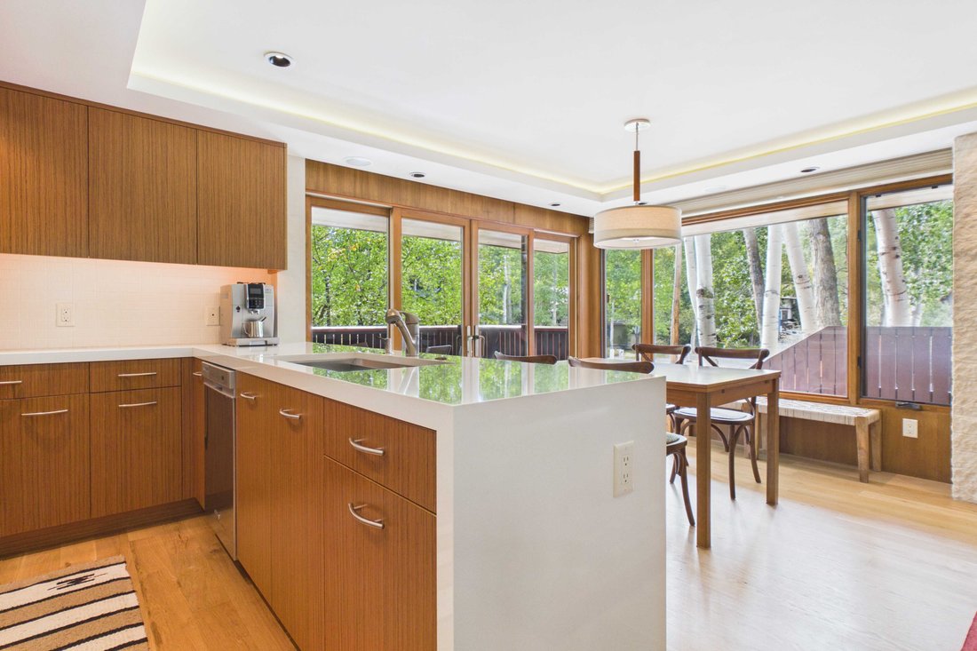 Condominio a Aspen, Colorado, Stati Uniti 3 - 18858242