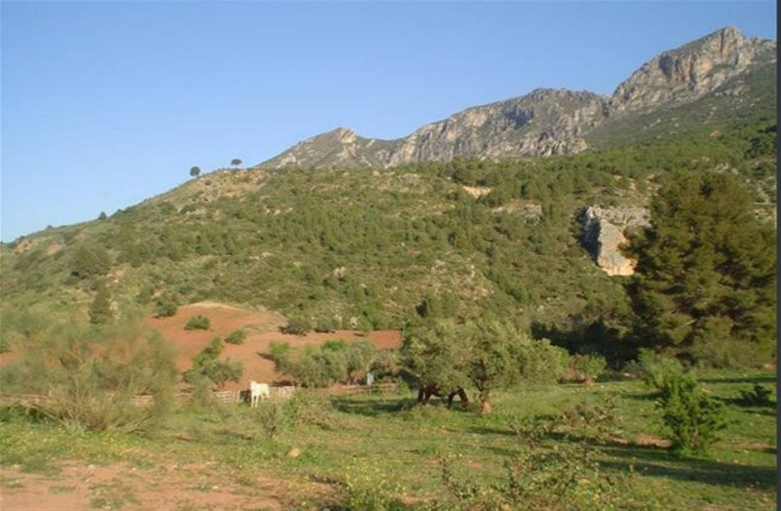 Haus in Ardales, Andalusien, Spanien 3 - 18864597