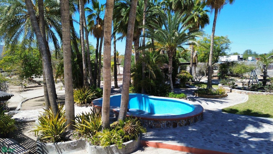 House in Ejido San Lucas, Baja California Sur, Mexico 4 - 17842846