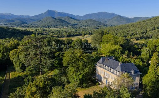 Chateau  en Rieucazé, Occitania, Francia 1