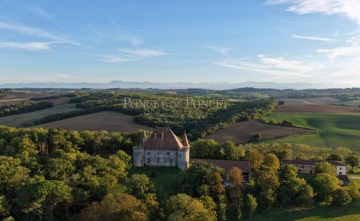 Chateau in Marquein, Occitania, France 1
