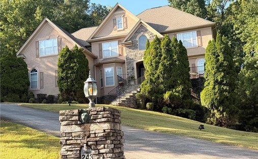 House in Peachtree City, Georgia, United States 1