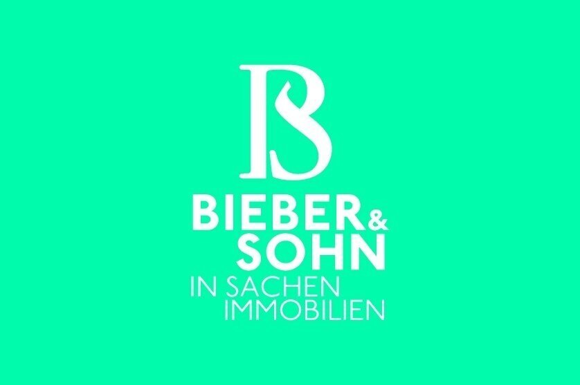 Penthouse in Korneuburg, Lower Austria, Austria 4 - 18860227