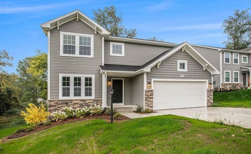 House in Alto, Michigan, United States 1