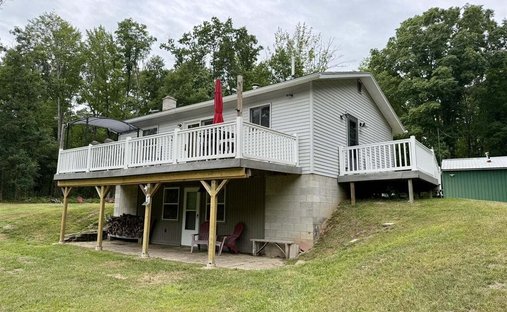 House in Wellston, Michigan, United States 1