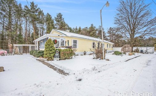 House in Greenville, Michigan, United States 1