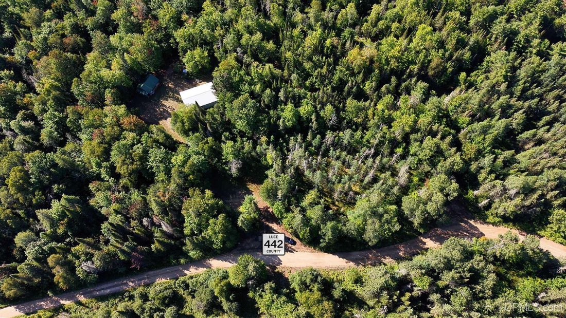 House in McMillan, Michigan, United States 2 - 18860521