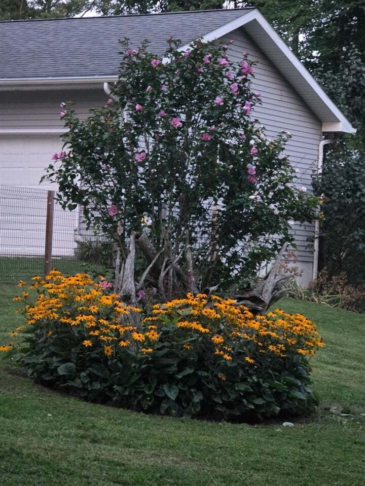 Casa a Grattan, Michigan, Stati Uniti 4 - 18860767