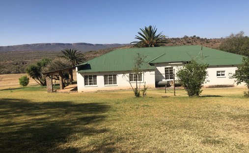 Azienda agricola in Municipalità locale di Rustenburg, Provincia del Nordovest, Sudafrica 1