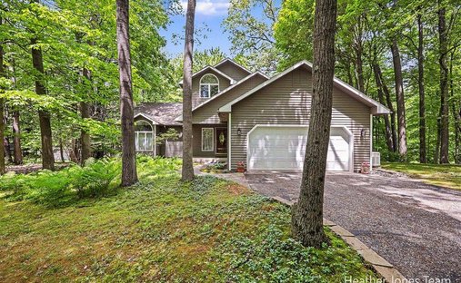 House in Greenville, Michigan, United States 1