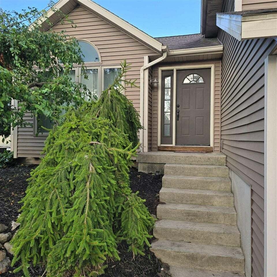 Casa a Cedar Springs, Michigan, Stati Uniti 2 - 18861536