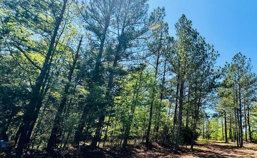 Terreno a Ware Shoals, Carolina del Sud, Stati Uniti 1
