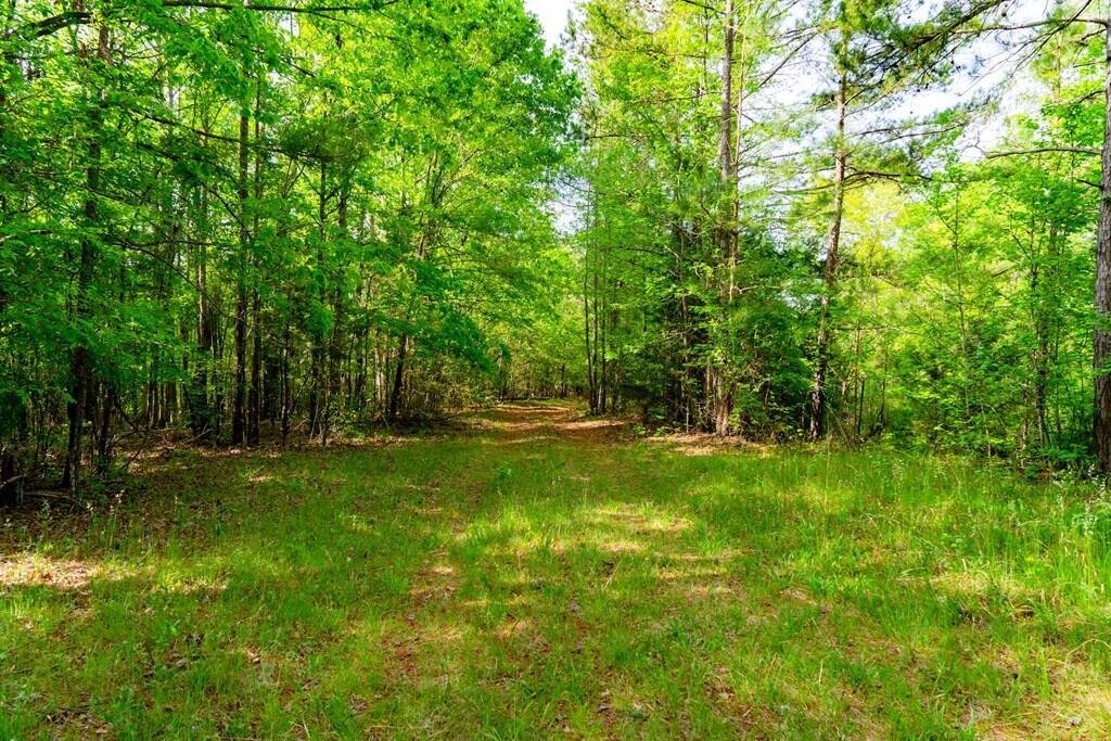 Terreno a Ware Shoals, Carolina del Sud, Stati Uniti 5 - 18862122