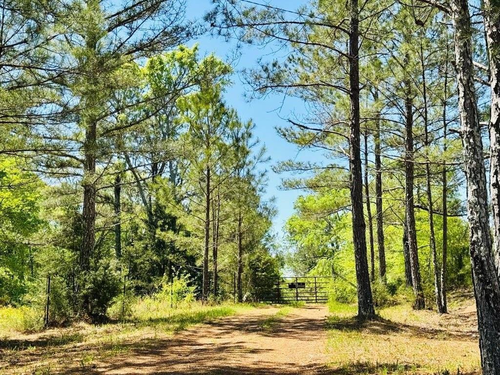 Terreno a Ware Shoals, Carolina del Sud, Stati Uniti 2 - 18862122