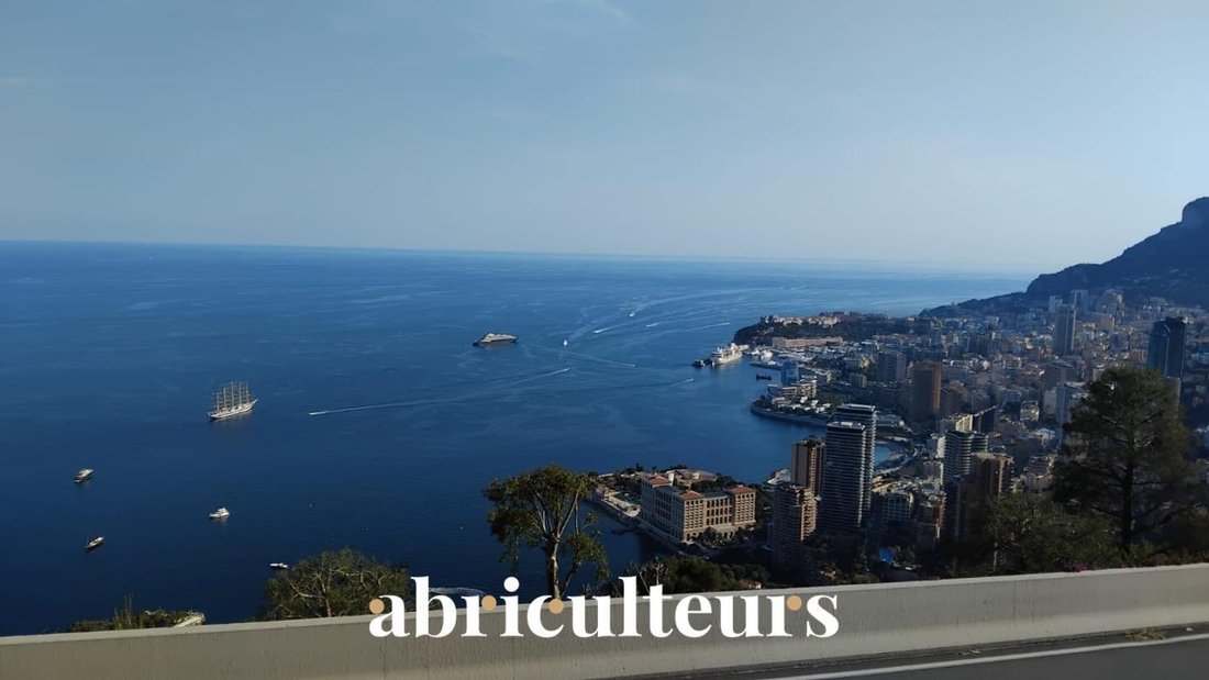 Appartement à Cabbe-Saint Roman, Roquebrune-Cap-Martin, France 2 - 18863124