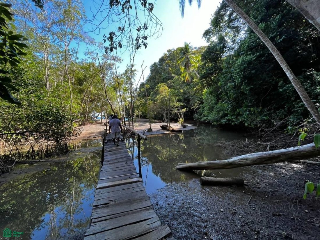 Terreno a Golfito, Provincia di Puntarenas, Costa Rica 5 - 17811428