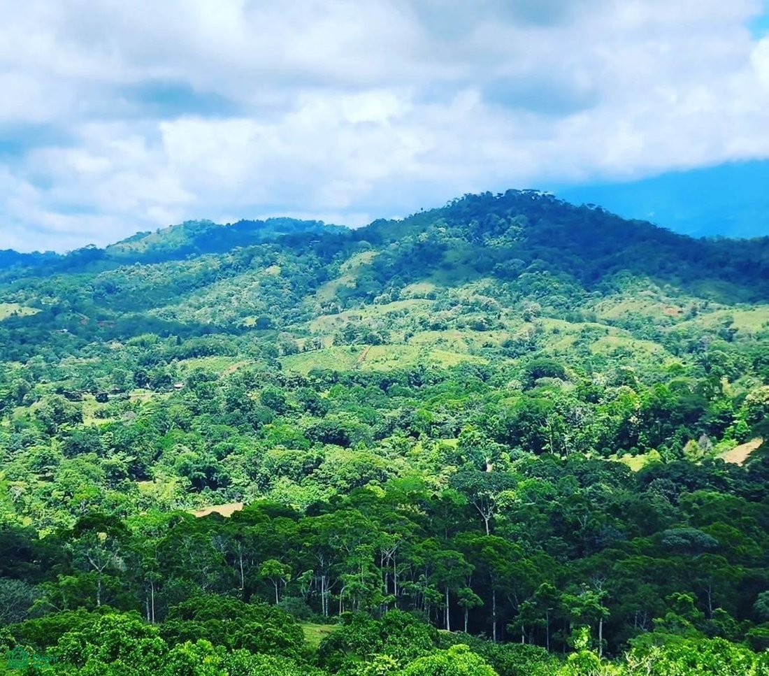 Land in Carara, San José, Costa Rica 4 - 17811421