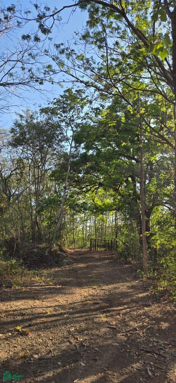 Land in Tamarindo, Santa Cruz, Costa Rica 4 - 17810749
